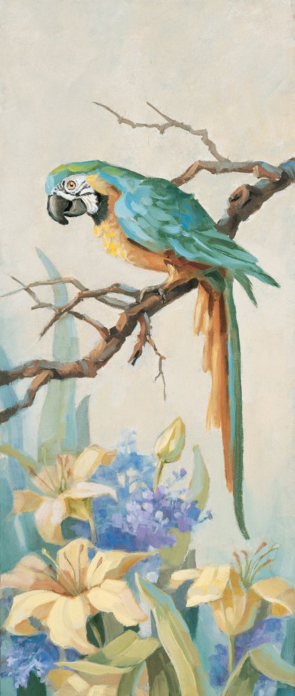 Parrot Looking Down art print by Unknown for $57.95 CAD